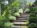 steps with pots from lane to upper terrace and deck