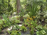 rain garden 