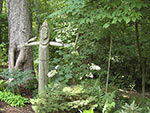 St. Francis wood sculpture