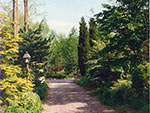 summer view of driveway