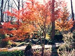fall colors in drive island
