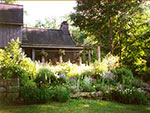 perennial garden off back deck and porch