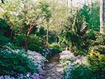 wild garden entrance above rock garden
