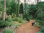 woodland plantings