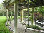 pergola walk with grapes at pool edge