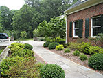 front house border
