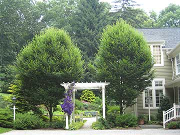 rear garden entrance from garage area
