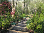 main entrance to dry woods
